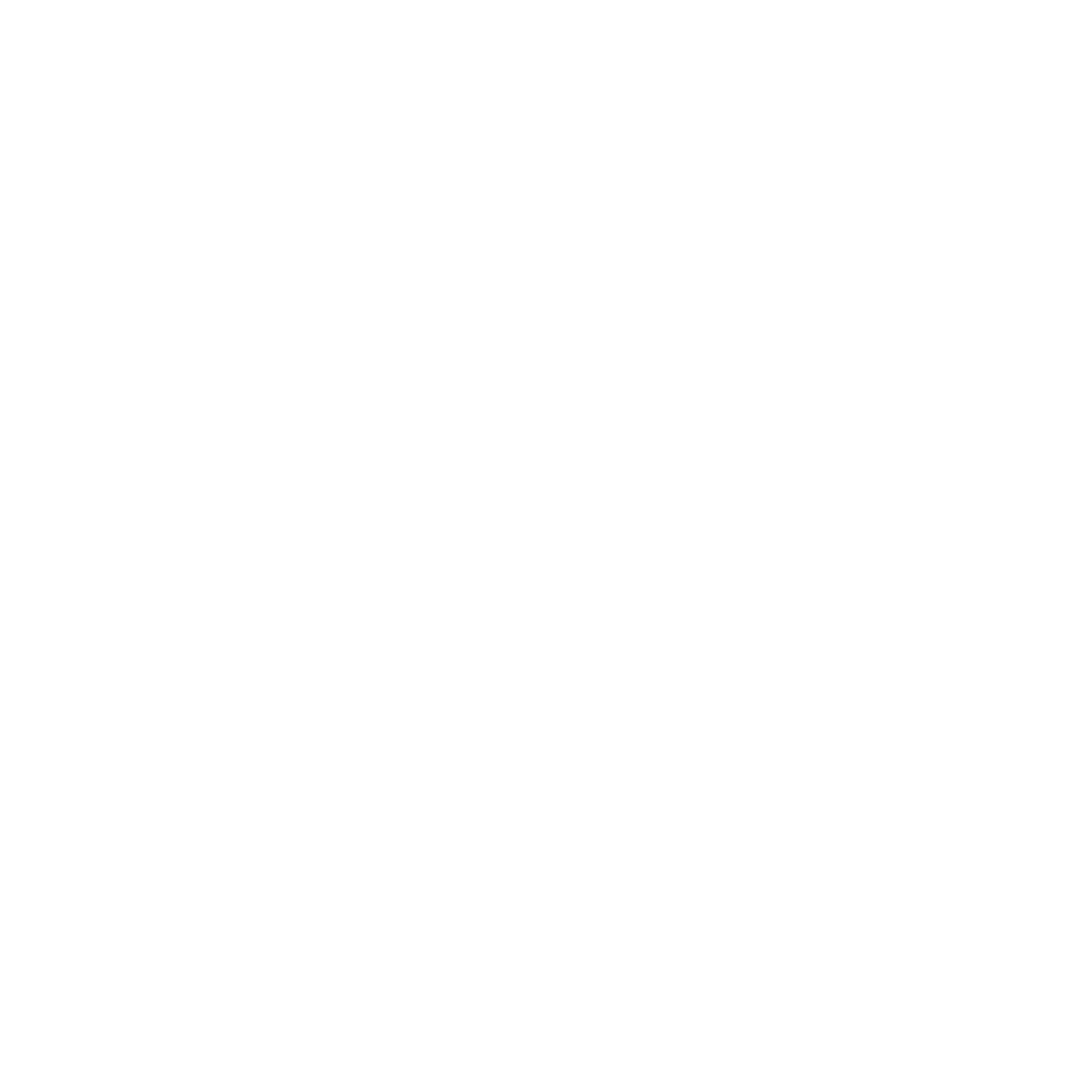 logo light